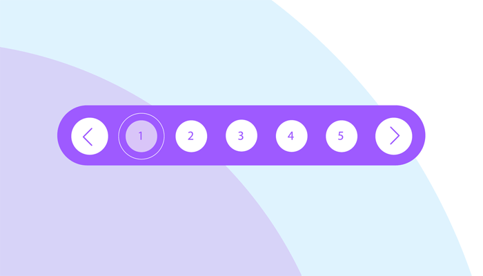 API Data Pagination